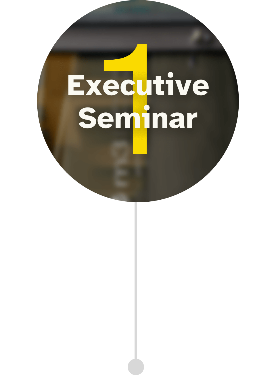 Programmbild für das 1. Executive Seminar im Führungskräfte Mentoring CEO der Zukunft