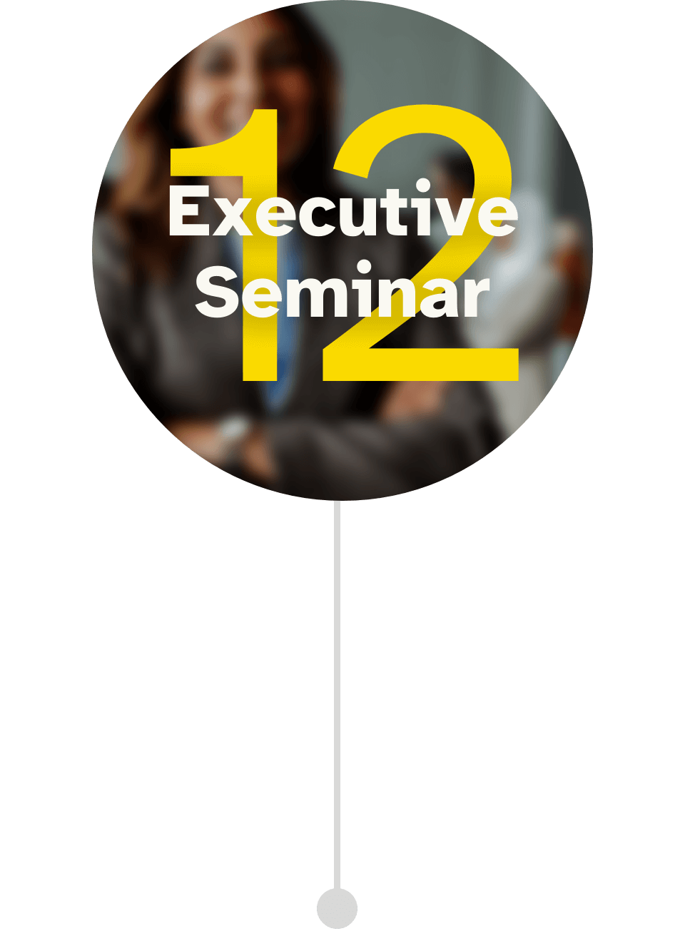 Programmbild für das 12. Executive Seminar im Führungskräfte Mentoring CEO der Zukunft