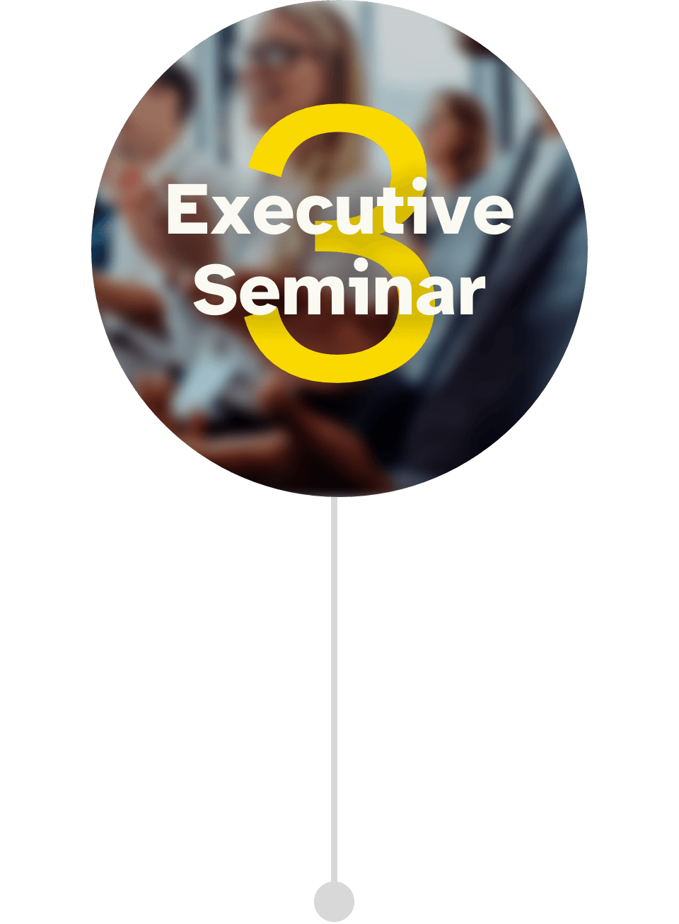 Programmbild für das 3. Executive Seminar im Führungskräfte Mentoring CEO der Zukunft