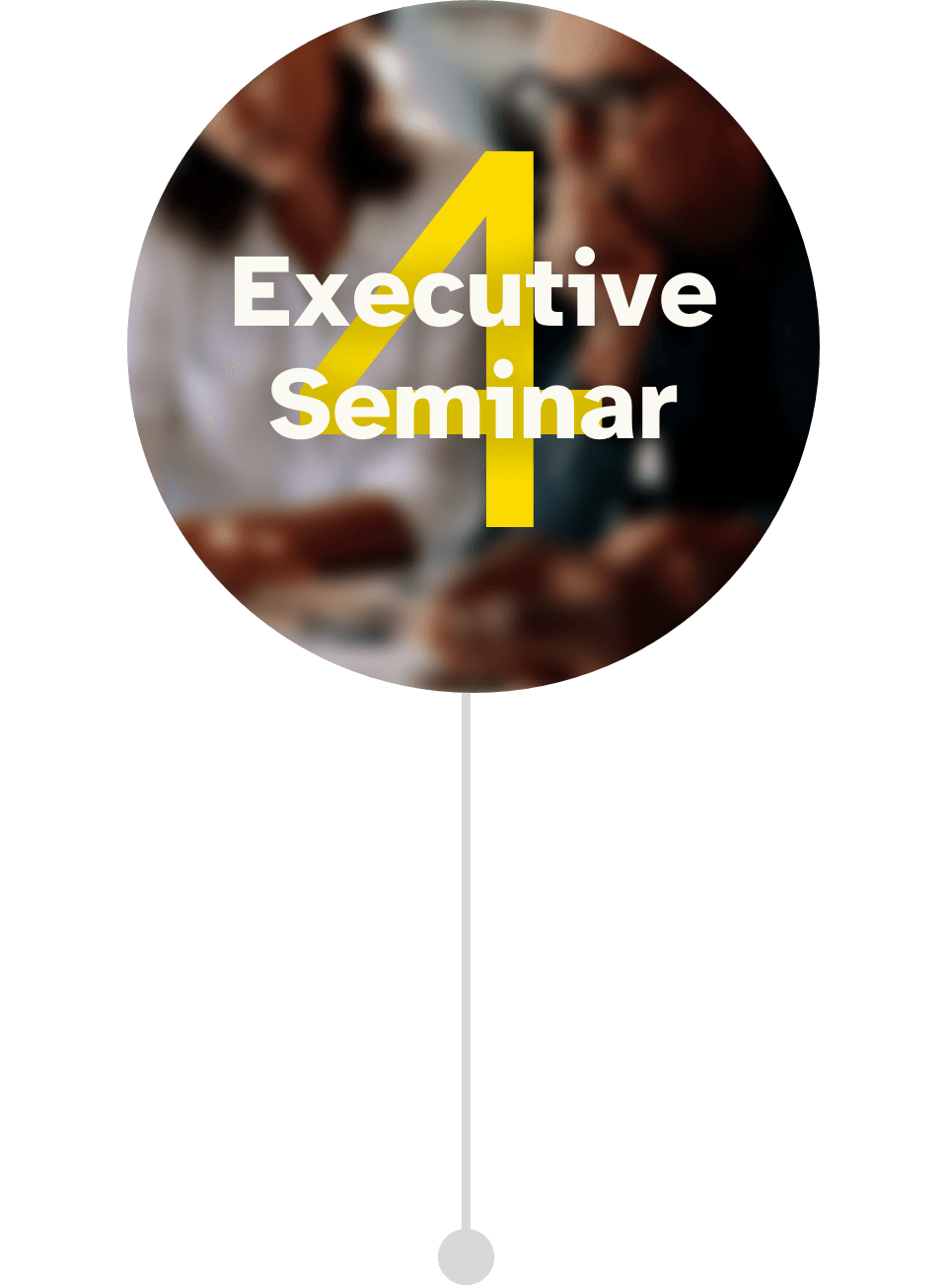 Programmbild für das 4. Executive Seminar im Führungskräfte Mentoring CEO der Zukunft