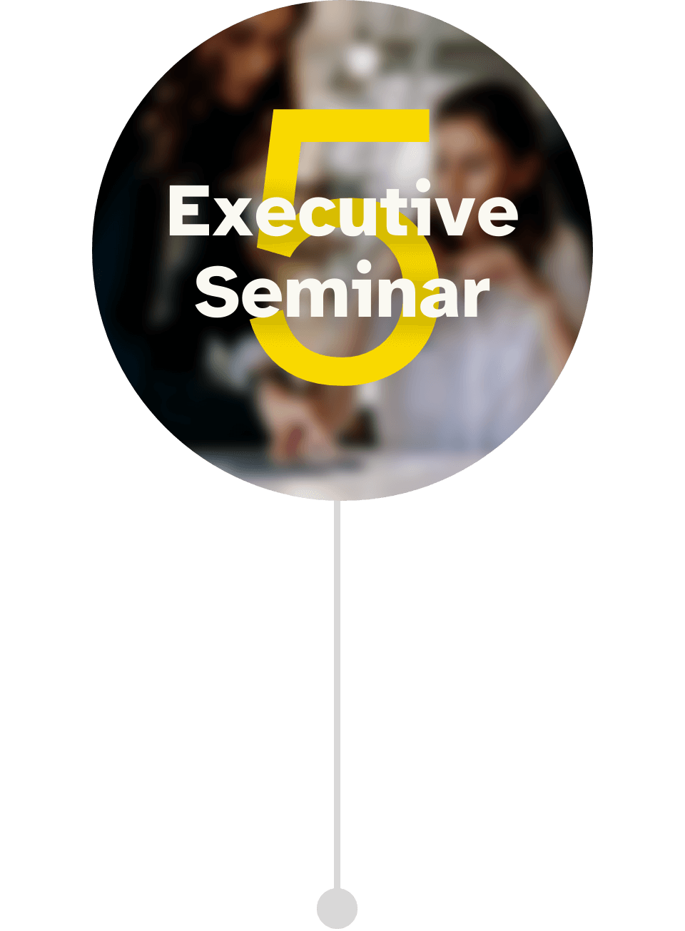 Programmbild für das 5. Executive Seminar im Führungskräfte Mentoring CEO der Zukunft