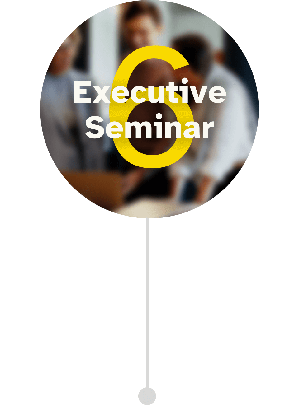 Programmbild für das 6. Executive Seminar im Führungskräfte Mentoring CEO der Zukunft