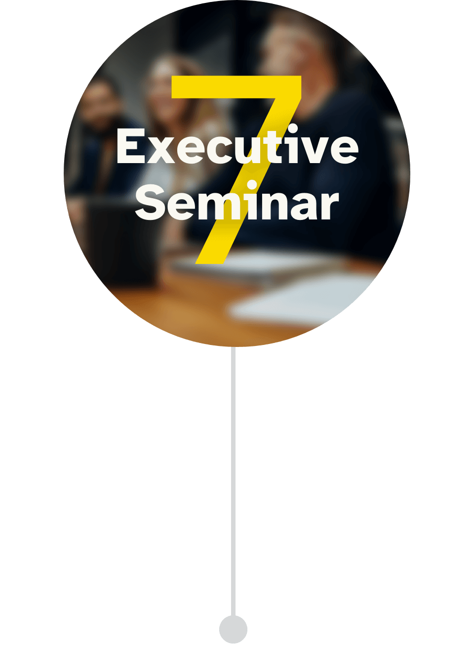 Programmbild für das 7. Executive Seminar im Führungskräfte Mentoring CEO der Zukunft