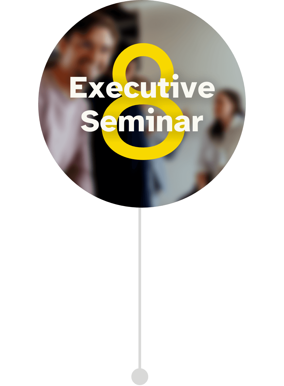 Programmbild für das 8. Executive Seminar im Führungskräfte Mentoring CEO der Zukunft