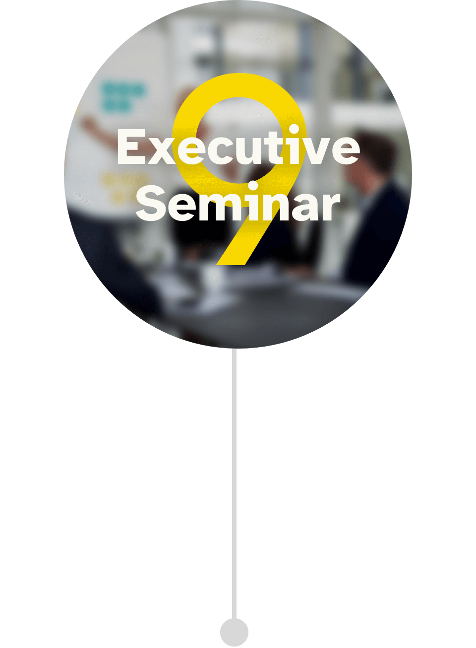 Programmbild für das 9. Executive Seminar im Führungskräfte Mentoring CEO der Zukunft